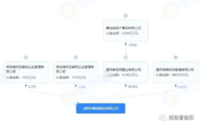 黑料云官网,揭秘网络黑料，守护网络安全新篇章
