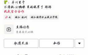 吃网红瓜的免费软件叫什么,一网打尽热门资讯