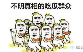 开头说吃瓜群众的网红,揭秘网络红人的崛起与魅力