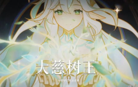 大慈树王写真