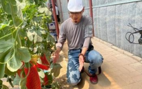 网红吃瓜打卡地,揭秘热门吃瓜圣地背后的故事