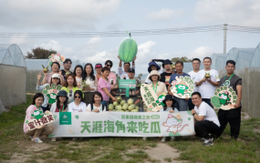 天涯海角去吃瓜百果园猎果之旅走进海南-海角吃瓜网